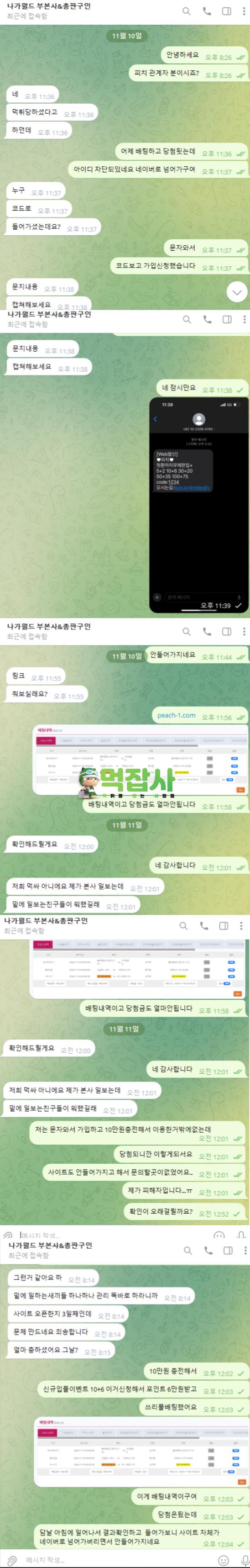 피치 1.png